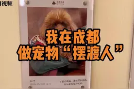 我在成都做宠物“摆渡人”图片