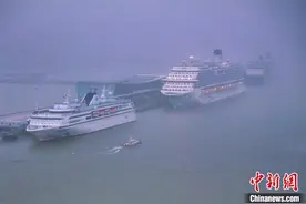 吴淞口国际邮轮港码头迎来“四邮同靠”图片