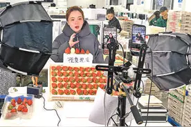 小草莓长成“致富果”图片