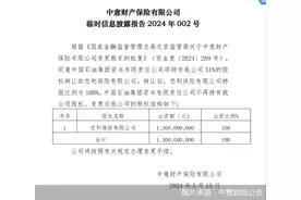 首家中外合资财险公司变身外资独资图片