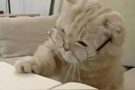 到底哪些“隔夜食物”不能吃？很多人都不知道→图片