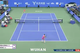 憾负萨巴伦卡，郑钦文获武网亚军图片