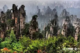 张家界旅游集团，被申请重整！图片