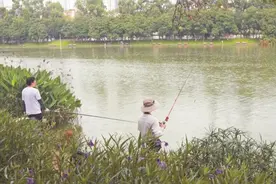 深圳公园部分区域可以钓鱼图片