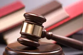 阿拉斯加犬和主人被松开绳索的边牧咬伤，边牧犬主人竟删除对方微信了事？图片