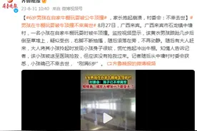 6岁男孩在自家牛棚玩耍被公牛顶撞，村委会：已不幸去世图片