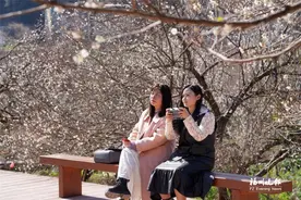 白茫茫一片！福州这里刷屏！图片