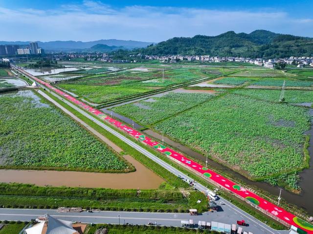 达州：沿途皆景，一路生“花”