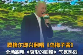 腾格尔即兴翻唱《乌梅子酱》全场跟唱《隐形的翅膀》气氛热烈图片