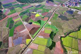 泰和:田园如画图片