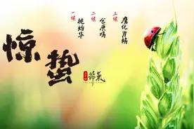 农耕岁时记｜惊蛰·春雷惊百虫 农事启新章图片