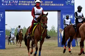 安徽砀山：马驰故黄比耐力 人游“梨都”观美景图片