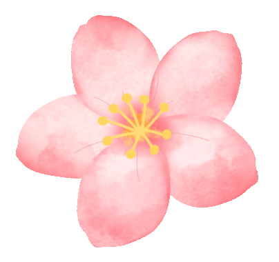 秋日浪漫天花板！上海这个公园超梦幻的粉黛花海开了→