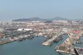 日照：“岚蚝”丰收！5560万斤生蚝陆续上市图片