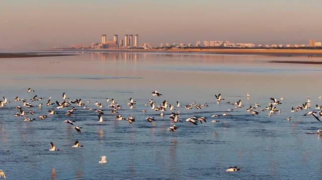 乘着高铁冬游南海 解锁宝藏旅居目的地