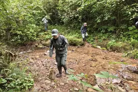 密林中的等待——三周年·我在大熊猫国家公园图片