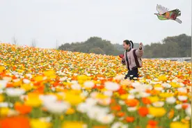 假日与花“共舞”#(2)图片