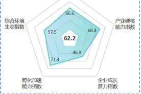 抢占未来产业｜武汉、西安、长沙、郑州，谁是中西部强省会的“未来之星”？图片