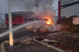 从新鲜到“熟透”？街头水果车惨变“烧烤摊”！图片