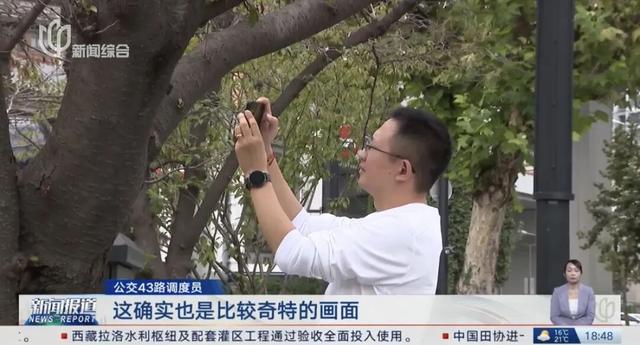 最新资讯-留意！上海冷空气顿时到！陌头这一幕市民直呼惊奇↗(8)