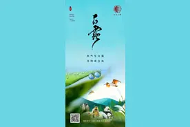 今日白露｜雁阵迤逦，慨然知秋图片