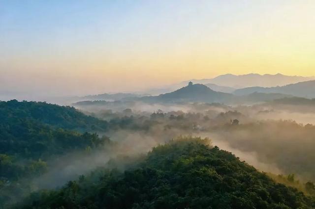 藏不住了！看一眼就“沦陷”！