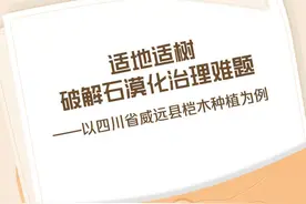适地适树破解石漠化治理难题——以四川省威远县桤木种植为例图片