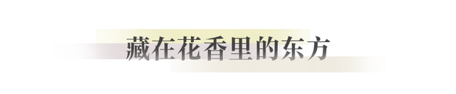 成都，耍起｜从阅读到香氛的多维漫游