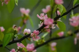 PUA刚搞明白，NPD又是啥？图片