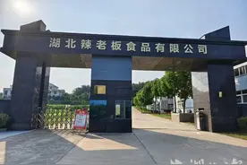 广水：90后IT精英爆改“辣条王子”图片