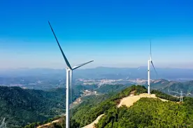 浦北：生态立体 产业赋能图片