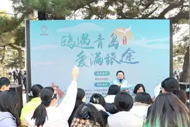 青岛执文明旅游之笔 绘就“人鸥共舞”画卷图片