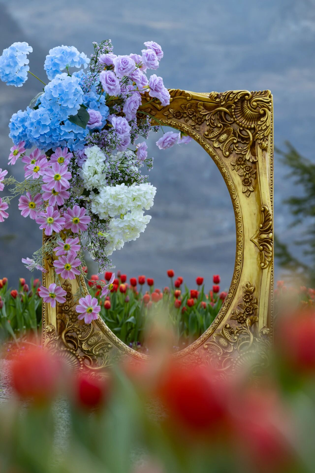 明确了！淄博的春天这样玩，过瘾