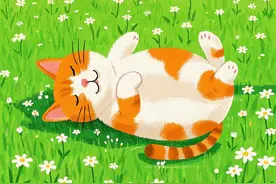 失眠多梦，容易惊醒？中医教你对症选药图片