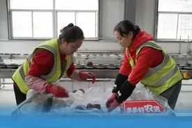 拼多多超越淘宝见证历史：我国全年快递业务量首破1500亿大关，中大奖成锦鲤者是谁？图片