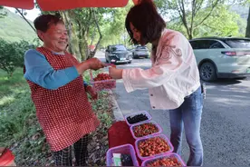 浙江诸暨：樱桃上市助增收图片
