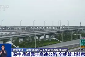 深中通道全线禁止随意停车 跨市公交、桥面穿梭巴士同步开通图片