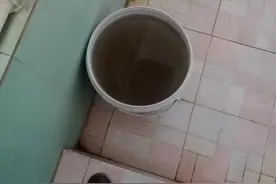 广西横州市那罗村三家养猪场粪污直排 官方：已知情图片