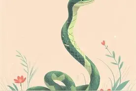 宠物蛇新手入门饲养指南图片