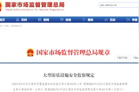 大型游乐设施安全监察规定图片