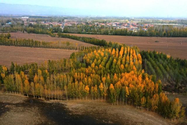 限定初冬美景！就在河南沁阳→