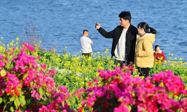 一眼沦陷！南安春日繁花盛放，千万别错过！