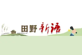 田野新语 | 乡村游，赚人气更要赚财气图片