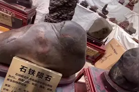 痴迷陨石，他10年间多次行走戈壁大漠！收藏的陨石最大338斤，多块稀缺陨石引众人惊叹图片