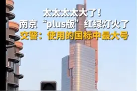 南京“plus版”红绿灯火了，方便群众就该有大格局图片