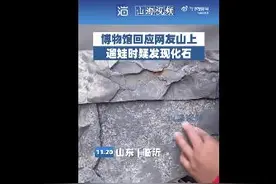 5岁男孩发现5亿年前古生物化石 网友：可能从此爱上考古图片