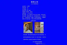 江苏一乐园称小浣熊伙同“女朋友”挖洞逃跑超1周，走时携带2份便当：悬赏5000元紧急寻找图片
