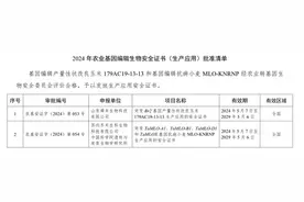 我国首个主粮作物基因编辑安全证书花落泉城图片