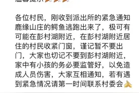 网传广东茂名一养殖场鳄鱼出逃？镇政府：确有此事，是上游冲下来的，已通知村民不要下水图片