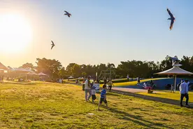 澳媒：悉尼早春似盛夏，26名运动员顶32℃高温跑马拉松中暑图片